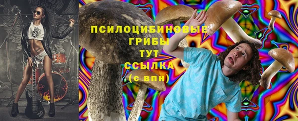 герыч Арсеньев