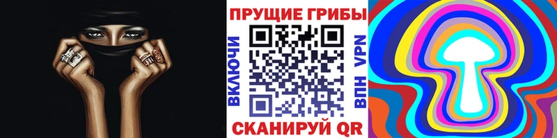 Псилоцибиновые грибы GOLDEN TEACHER  купить наркотик  shop какой сайт  Микунь 